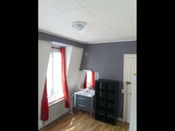Photo n°6