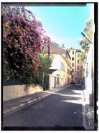 Photo n°6
