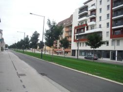 Photo n°1