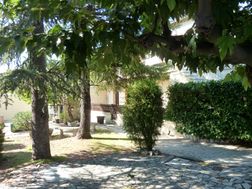 Photo n°1