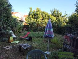Photo n°5