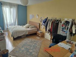Photo n°5