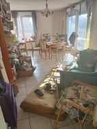 Photo n°7