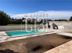 Photo n°8