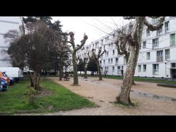 Photo n°3