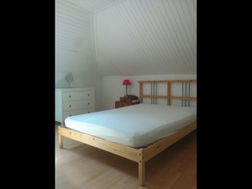 Photo n°4