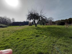 Photo n°3
