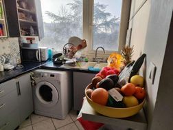 Photo n°1