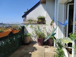 Photo n°1