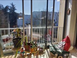 Photo n°6