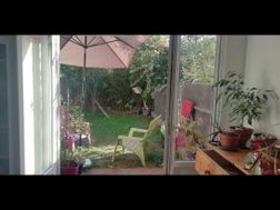 Photo n°5