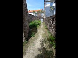 Photo n°14