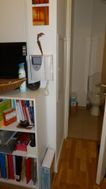 Photo n°4