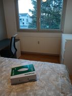 Photo n°3