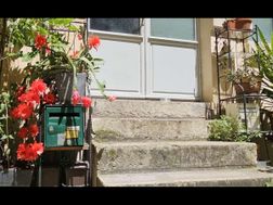 Photo n°5
