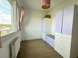 Photo n°8