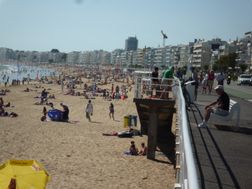 Photo n°6