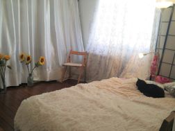Photo n°1