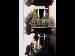 Photo n°3