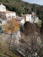 Photo n°5