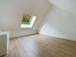 Photo n°8
