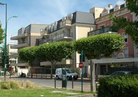 Photo n°1