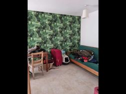 Photo n°4