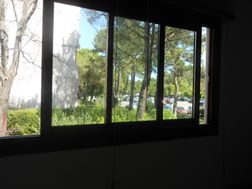 Photo n°5