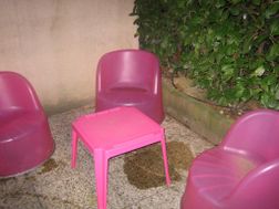Photo n°2
