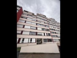 Photo n°2