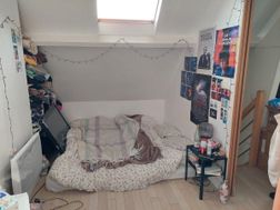 Photo n°6