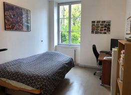 Photo n°5