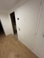 Photo n°3