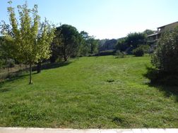 Photo n°2