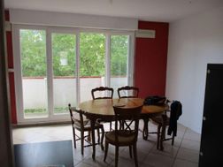 Photo n°6