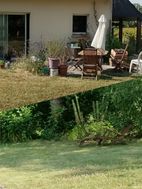 Photo n°4