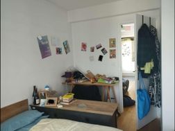 Photo n°3