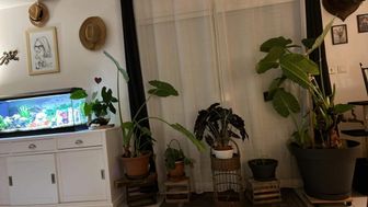 Photo n°4