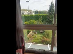 Photo n°4