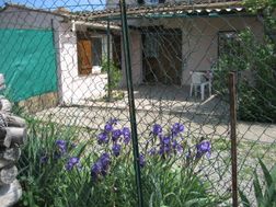 Photo n°1