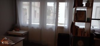 Photo n°6