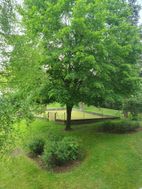 Photo n°3