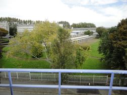 Photo n°2