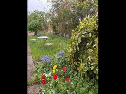 Photo n°4