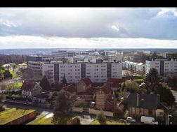 Photo n°4