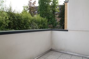 Photo n°5