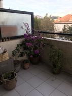 Photo n°6