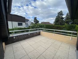 Photo n°6