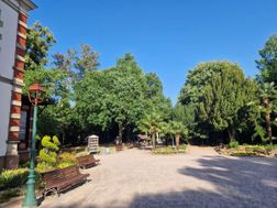 Photo n°4