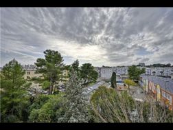 Photo n°8